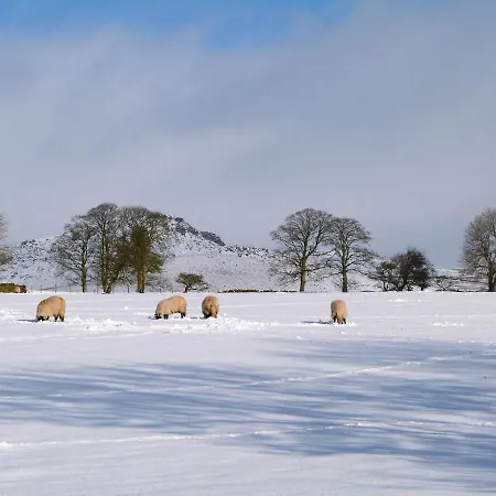 بيت للعطل 1 Hull House