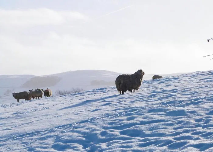 1 Hull House * سكيبتون