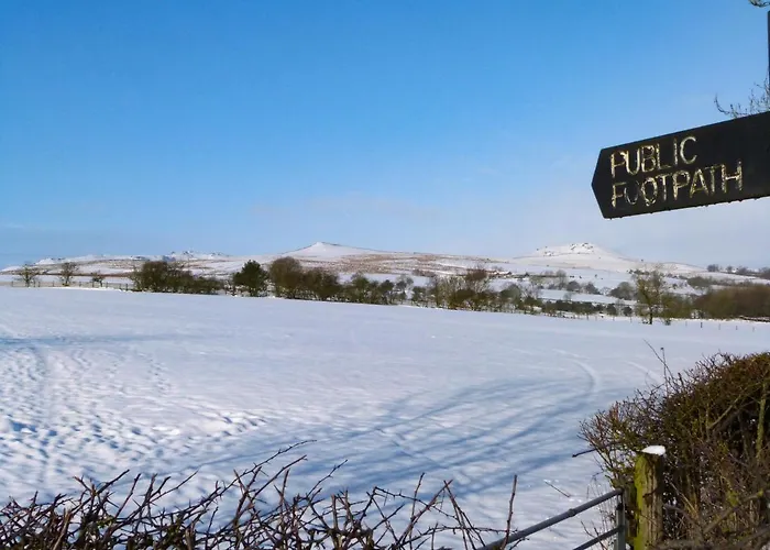 1 Hull House سكيبتون