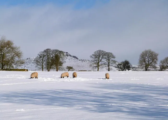 Casa de Férias 1 Hull House